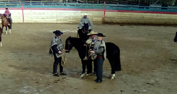 Taller de Riendas convocó con mucho entusiasmo a Criadores de Cauquenes