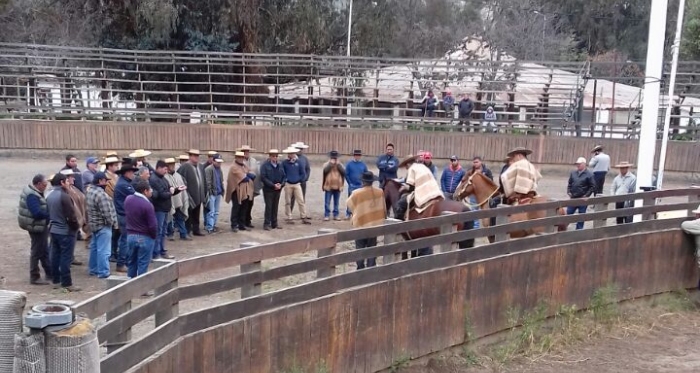 Asociación Choapa contó con gran asistencia para talleres en Illapel