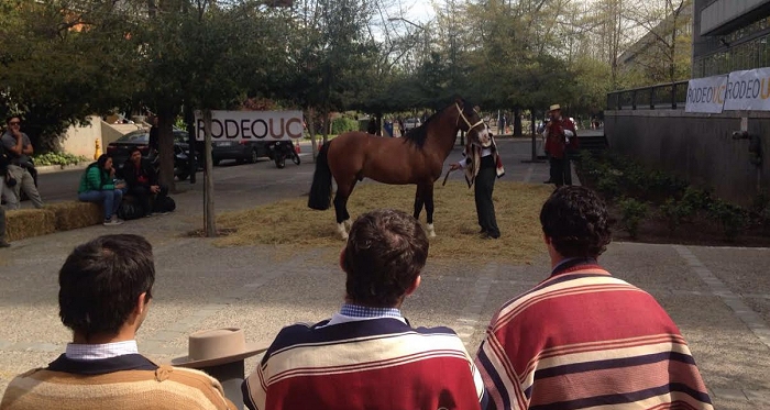 Excelente recepción tuvo en jóvenes universitarios charla sobre el Caballo Chileno