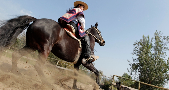 Temporada de rodeos promocionales femeninos prosigue en octubre