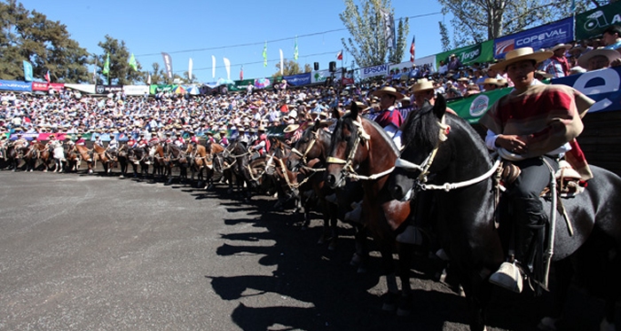 Club Curicó realiza su rodeo Provincial en Series Libres