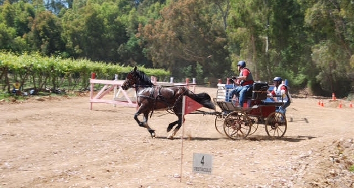 Competencias en Pirque y Santiago cierran el año del Enganche