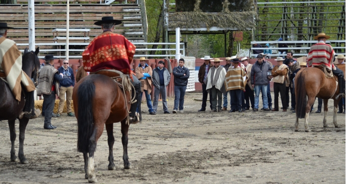 Taller de Funcionalidad y Rienda para corraleros de Fenaro en Coquimbo