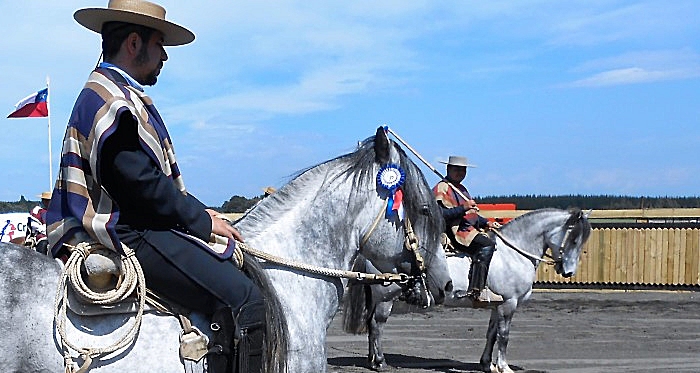 Claudio Valdebenito: Los Rodeos para Criadores tienen otro gusto y el de Collipulli fue muy bueno