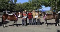 Bases para participar en la Expo de Caballo Chilenos de la Asociación Bío Bío Bases para participar en la Expo de Caballo Chilenos de la Asociación Bío Bío