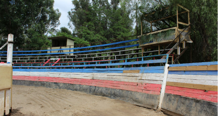 El Club Llay Llay trabajó intensamente para su rodeo