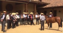 Curso de Jurados de Exposición tuvo nueva etapa en Palmas de Peñaflor Curso de Jurados de Exposición tuvo nueva etapa en Palmas de Peñaflor