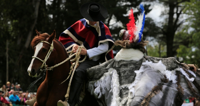 Palmas de Peñaflor llevará su espectáculo a Valdivia