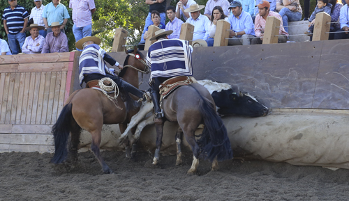 Imagen foto_00000001