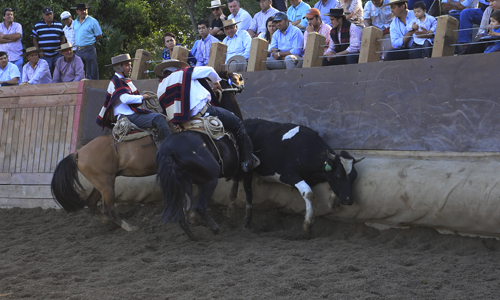 Imagen foto_00000002