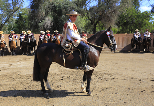 Imagen foto_00000004