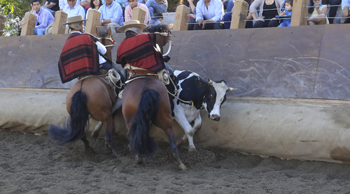 Imagen foto_00000005