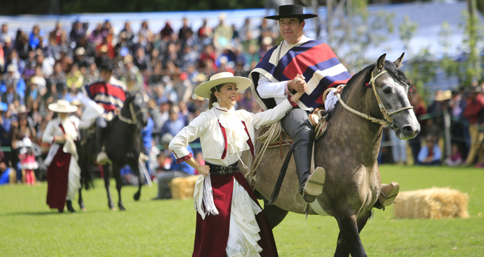 Valdivia: Se suspenden presentaciones de Palmas, pero se mantienen la Expo y Rodeo