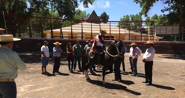 Taller de Funcionalidad Racial y Rienda generó mucho interés en Salamanca