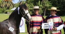 Los Grandes Premios de la Expo Melipilla 2016 Los Grandes Premios de la Expo Melipilla 2016
