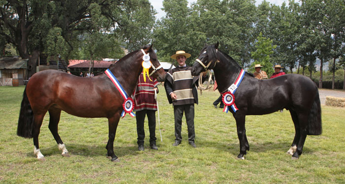 Alucarpa Makeo y Las Cañitas Agradecida se lucieron en la Expo Cordillera