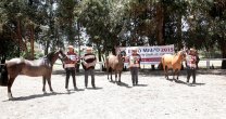 Criadores de Maipo tendrán exposición y charla en Hospital Criadores de Maipo tendrán exposición y charla en Hospital