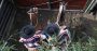 La planilla de la Serie de Campeones del Zonal Sur Curacautín 2016