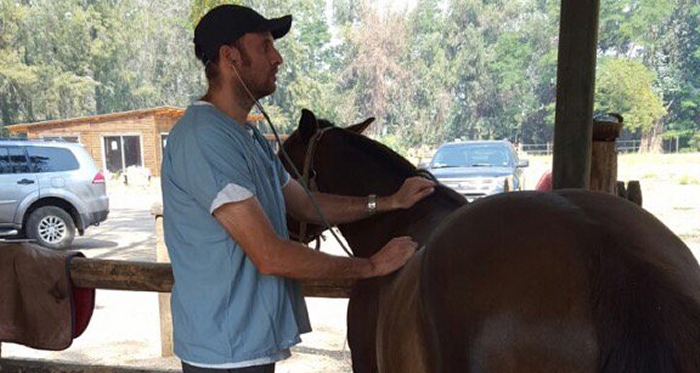Veterinario Germán Ausset superó ardua lucha y volvió a atender caballos