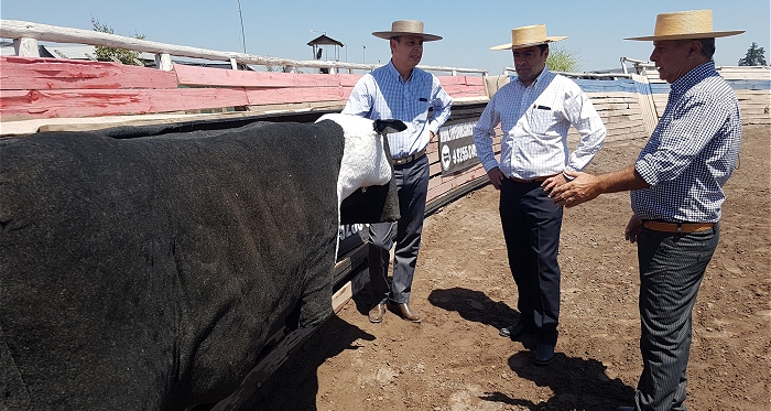 La utilidad del topero mecánico para mejorar la técnica al atajar