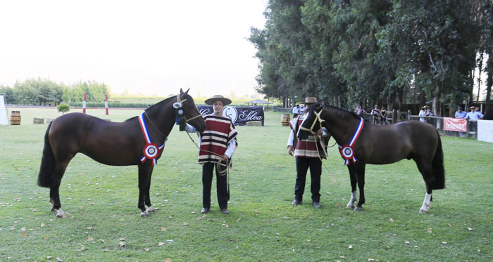 Expo Colchagua distinguió a un Monarca y una Soñadora