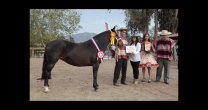 Expo Coquimbo se realizará el 4 de febrero Expo Coquimbo se realizará el 4 de febrero
