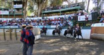 Final de Rodeos Para Criadores busca a sus campeones de 2017 Final de Rodeos Para Criadores busca a sus campeones de 2017