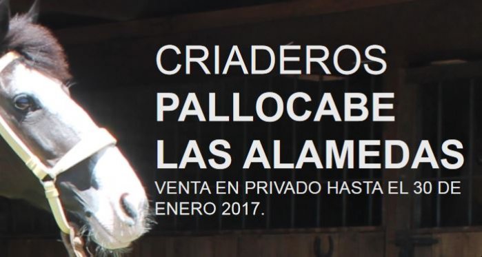 Criaderos Pallocabe y Las Alamedas tienen venta directa