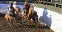 Revisa las Series de la Final de Rodeos Para Criadores 2017