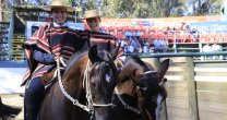 Tavorí y La Martita ganaron primera serie de la Final de Criadores con dedicatoria para Martín Contreras Tavorí y La Martita ganaron primera serie de la Final de Criadores con dedicatoria para Martín Contreras