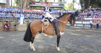 Peleco Romario, Sello de Raza de la Final de Rodeos Para Criadores Peleco Romario, Sello de Raza de la Final de Rodeos Para Criadores