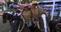 Carimallín y Lomas de Reñaca también tuvieron rol protagónico en Final de Criadores Carimallín y Lomas de Reñaca también tuvieron rol protagónico en Final de Criadores