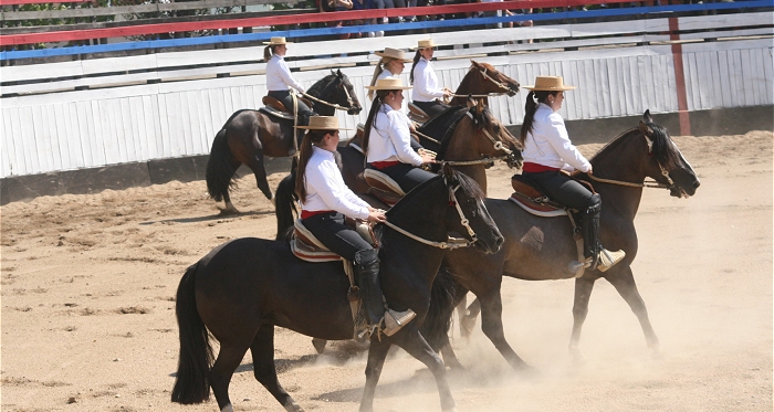 Escuadra de las Amazonas del Rodeo Chileno tuvo aplaudida recepción en Requinoa