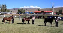Asociación Ultima Esperanza lleva su Exposición a Puerto Natales Asociación Ultima Esperanza lleva su Exposición a Puerto Natales