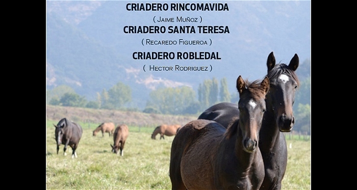 Rincomávida, Santa Teresa y Robledal rematan este jueves