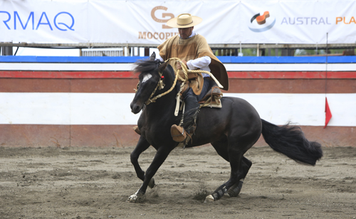 Imagen foto_00000003