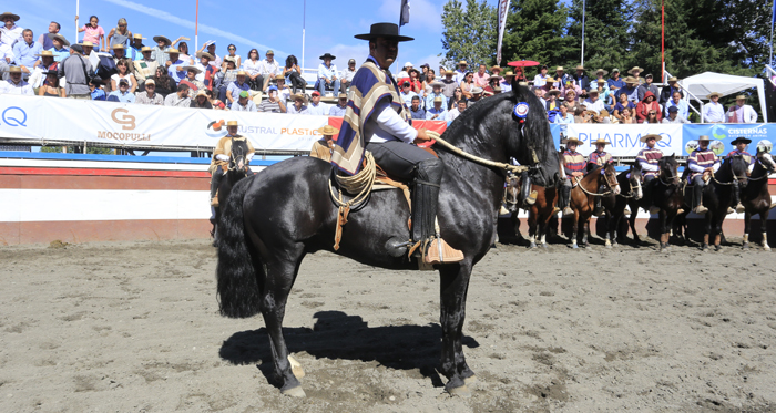 Caballero y Romario, dos ejemplares