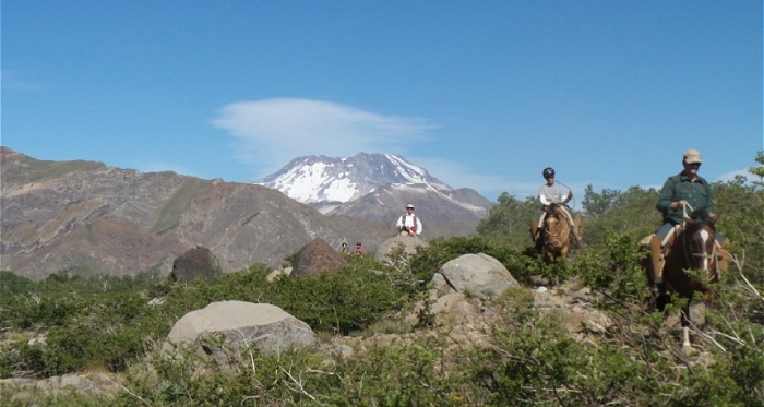 Arrieros del Cajón del Maipo, Paihuano y Curacautín reciben capacitación para mejorar cabalgatas