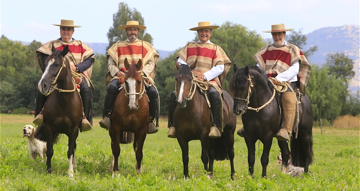 Santa Elba fue el Mejor Criadero en las Asociaciones Cautín y Aguanegra