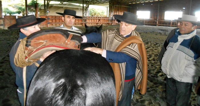 Taller de Práctica de Pruebas Ecuestres se realizó con éxito en Criadero Santa Angela