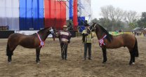 Están abiertas las inscripciones para la Expo Semana de la Chilenidad 2017 Están abiertas las inscripciones para la Expo Semana de la Chilenidad 2017
