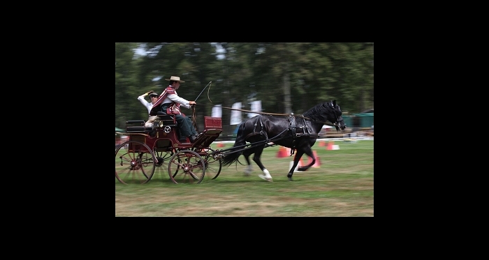 Suspenden concurso de enganche en el Haras Tronador