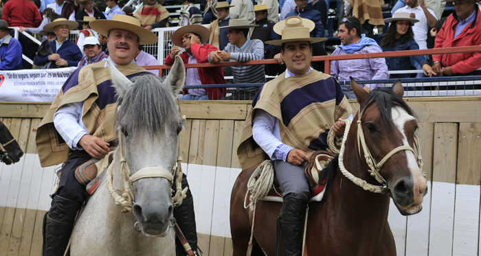 Guillermo Díaz, Mejor Jinete Amateur de El Libertador: