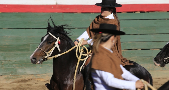 Escuadra Amazonas del Rodeo Chileno prepara nuevas presentaciones