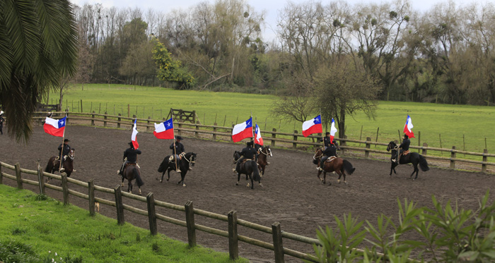 La Escuadra Ecuestre Palma de Peñaflor realiza sus últimos ensayos antes del viaje a Rusia