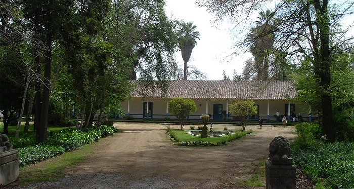 Una semilla de 1910 que germinó en la Asociación de Criadores de Caballares Chilenos