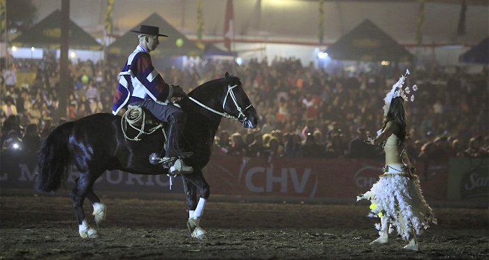 Los caballos de Palmas de Peñaflor emprendieron vuelo rumbo a Rusia