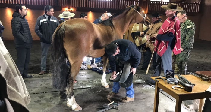 Criadores de Curicó vivieron productiva jornada en Criadero La Esperanza