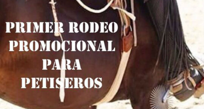 Rodeo de los Petiseros fue postergado debido al mal tiempo