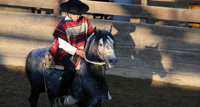 Curicó reúne a la familia en el Campeonato Nacional de Rodeo Escolar